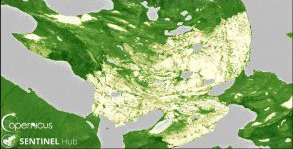 تصویر ماهواره ای Sentinel-2A از گرینلند(NDVI)، بعد از آتش سوزی