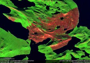 تصویر ماهواره ای Sentinel-2A از گرینلند(NIR / SWIR)، بعد از آتش سوزی