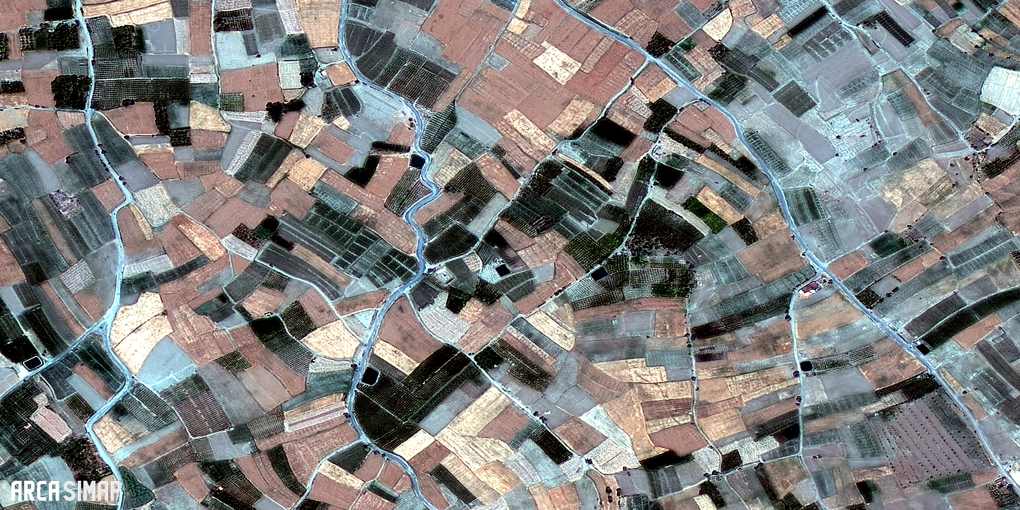 زمین های کشاورزی، نازلو، ارومیه، آذربایجان غربی - 1398