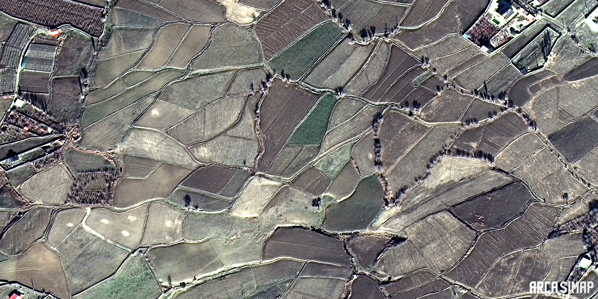 زمین های زراعی، آبسرد، تهران - 1387