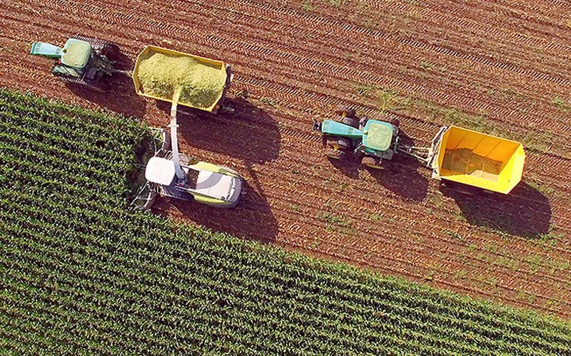 زمین کشاورزی